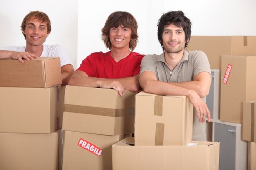 Packed boxes and furniture prepared for temporary storage